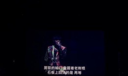 电音口嗨爆料视频,揭秘幕后故事与精彩瞬间